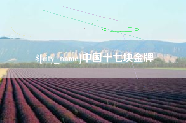 改则中国十七块金牌