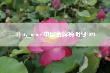 改则中国金牌榜明细2021