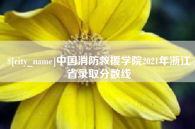 改则中国消防救援学院2021年浙江省录取分数线