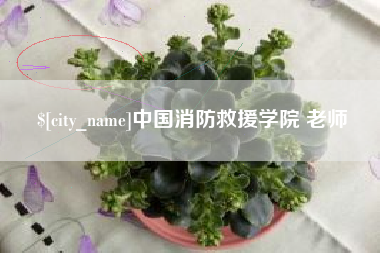 改则中国消防救援学院 老师