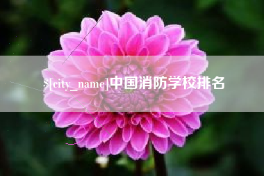 改则中国消防学校排名