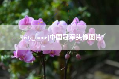 改则中国冠军头像图片