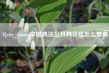 改则中国执法公开网征信怎么查询