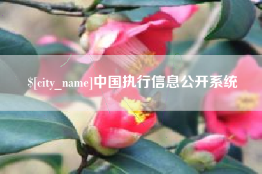 改则中国执行信息公开系统