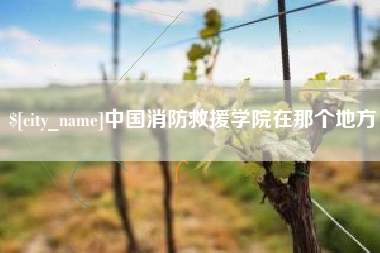 改则中国消防救援学院在那个地方