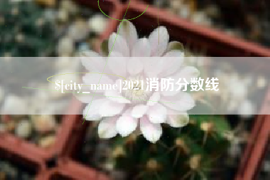 改则2021消防分数线