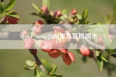 改则2021年九宫格风水
