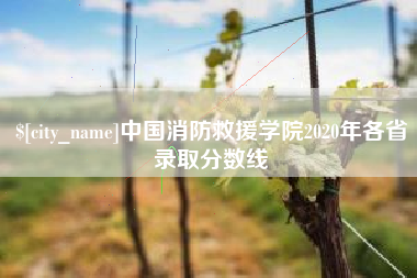 改则中国消防救援学院2020年各省录取分数线