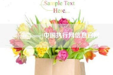 改则中国执行网信息官网