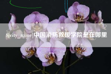 改则中国消防救援学院是在哪里