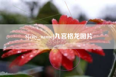 改则九宫格龙图片