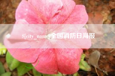 改则全国消防日海报