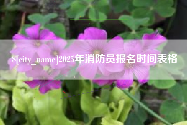 改则2025年消防员报名时间表格