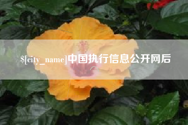改则中国执行信息公开网后