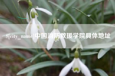 改则中国消防救援学院具体地址