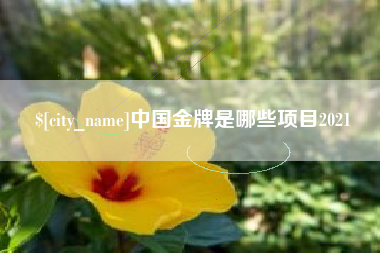 改则中国金牌是哪些项目2021