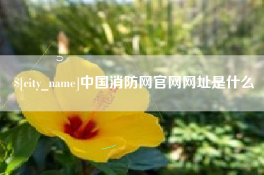 改则中国消防网官网网址是什么