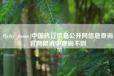 改则中国执行信息公开网信息查询官网限消中查询不到