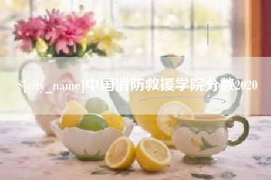 改则中国消防救援学院分数2020