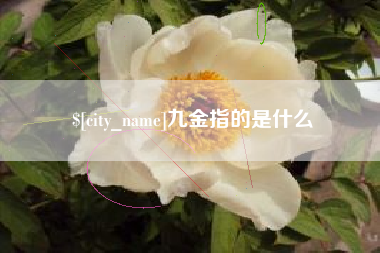 改则九金指的是什么