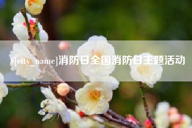 改则消防日全国消防日主题活动