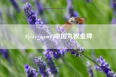 改则中国九枚金牌