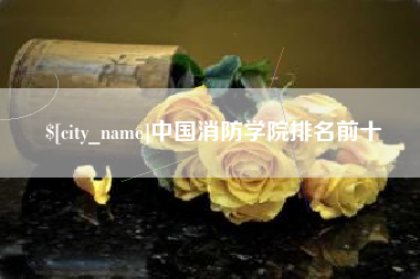 改则中国消防学院排名前十