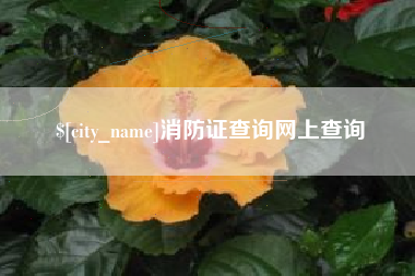 改则消防证查询网上查询