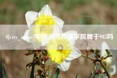 改则中国消防救援学院属于985吗