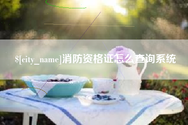 改则消防资格证怎么查询系统