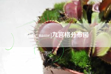 改则九宫格分布图