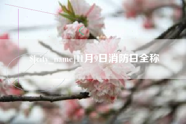 改则11月9日消防日全称