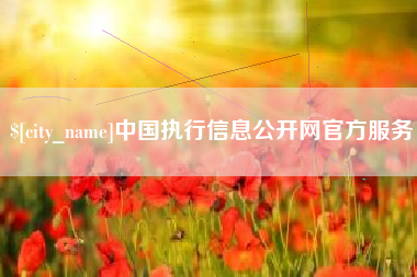 改则中国执行信息公开网官方服务