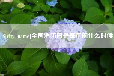 改则全国消防日是每年的什么时候