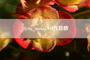 改则2019九宫格