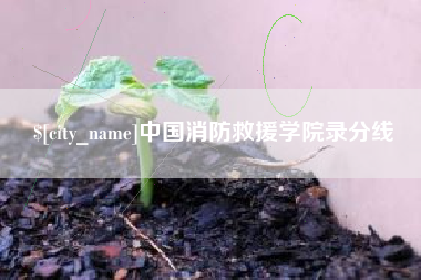 改则中国消防救援学院录分线