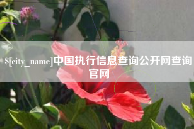 改则中国执行信息查询公开网查询官网