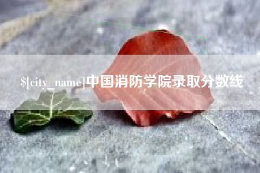 改则中国消防学院录取分数线