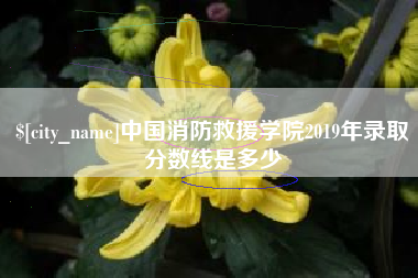 改则中国消防救援学院2019年录取分数线是多少