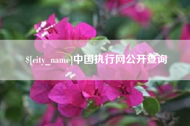 改则中国执行网公开查询
