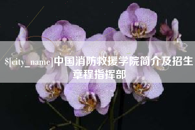 改则中国消防救援学院简介及招生章程指挥部