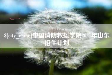 改则中国消防救援学院2021年山东招生计划