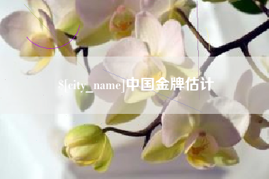 改则中国金牌估计
