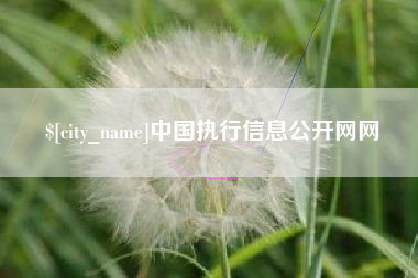 改则中国执行信息公开网网