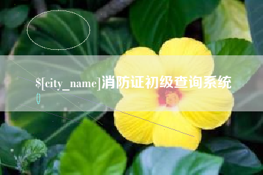 改则消防证初级查询系统