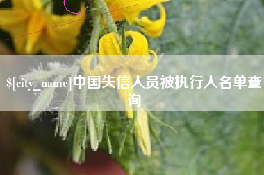 改则中国失信人员被执行人名单查询