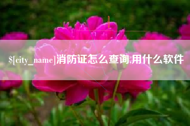 改则消防证怎么查询,用什么软件