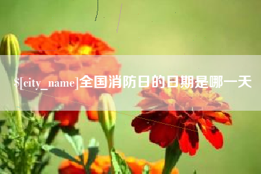 改则全国消防日的日期是哪一天