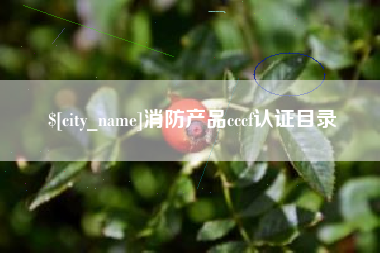 改则消防产品cccf认证目录