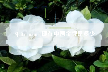 改则现在中国金牌是多少